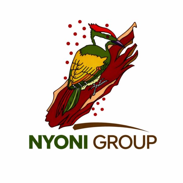 nyoni logo